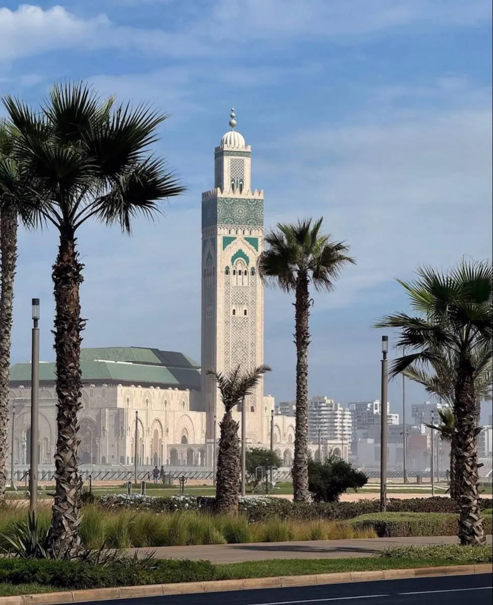 Minaret de la mosquée Hassan II à Casablanca, derrière une rangée de palmiers